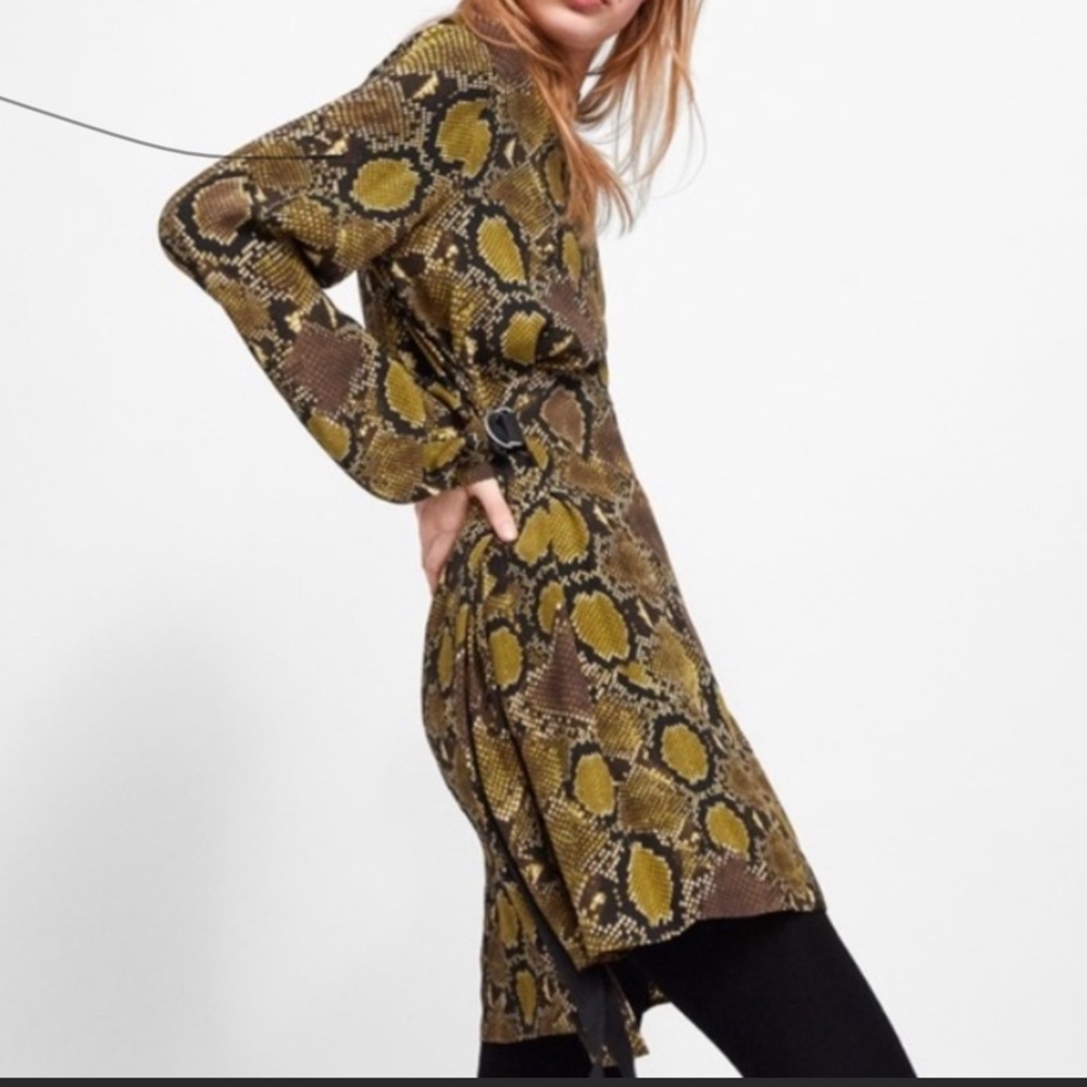 Zara snake print long sleeve dress